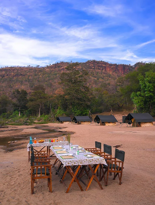 Walking Safari & Mobile Camping