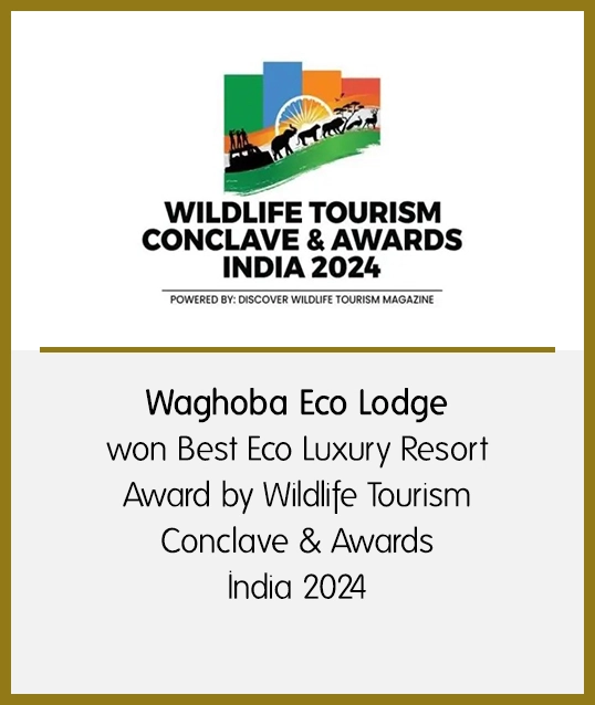 Awards won by Pugdundee Safaris