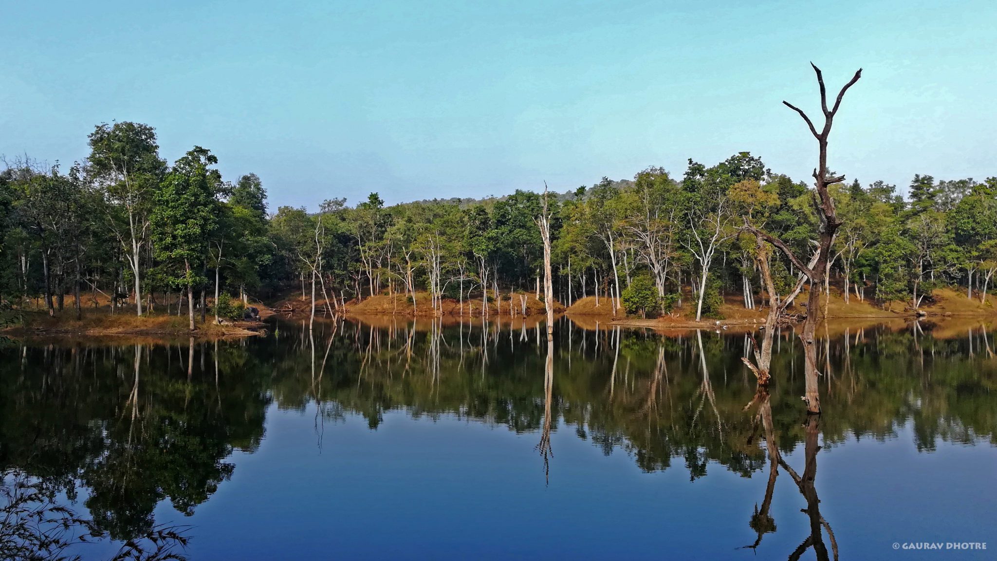 best-gates-in-pench-zones-in-pench-national-park