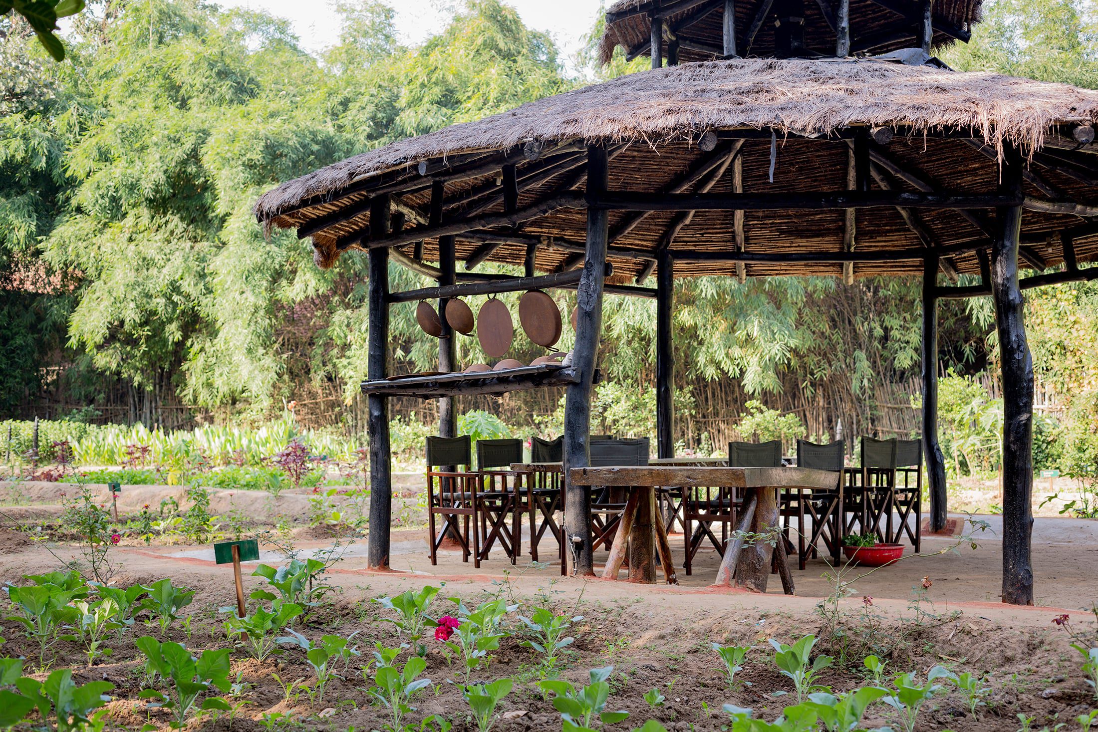 Organic-Kitchen-Garden-setup | Pugdundee Safaris