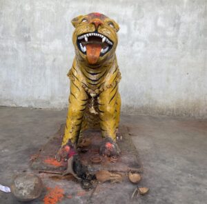 tiger gods across India