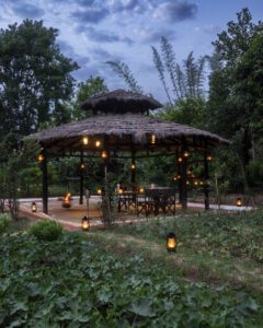 Luxury Resorts in Bandhavgarh