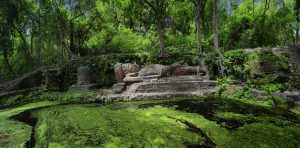 Shesh Shaiya - Bandhavgarh Park Page