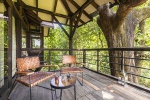 Treehouse balcony