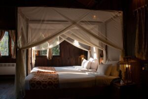 Treehouse Resort in Bandhavgarh