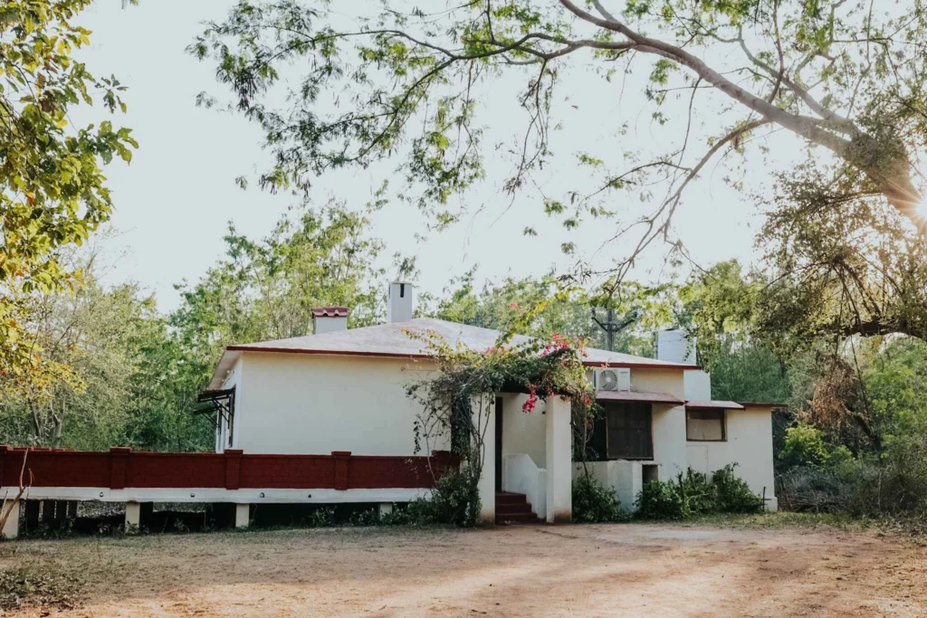 wildlife resort in panna 