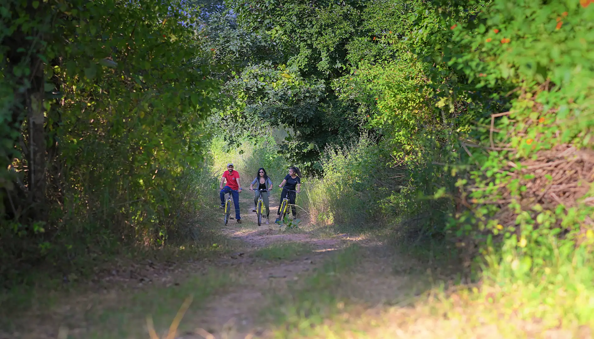 Walking and Cycling Trail 