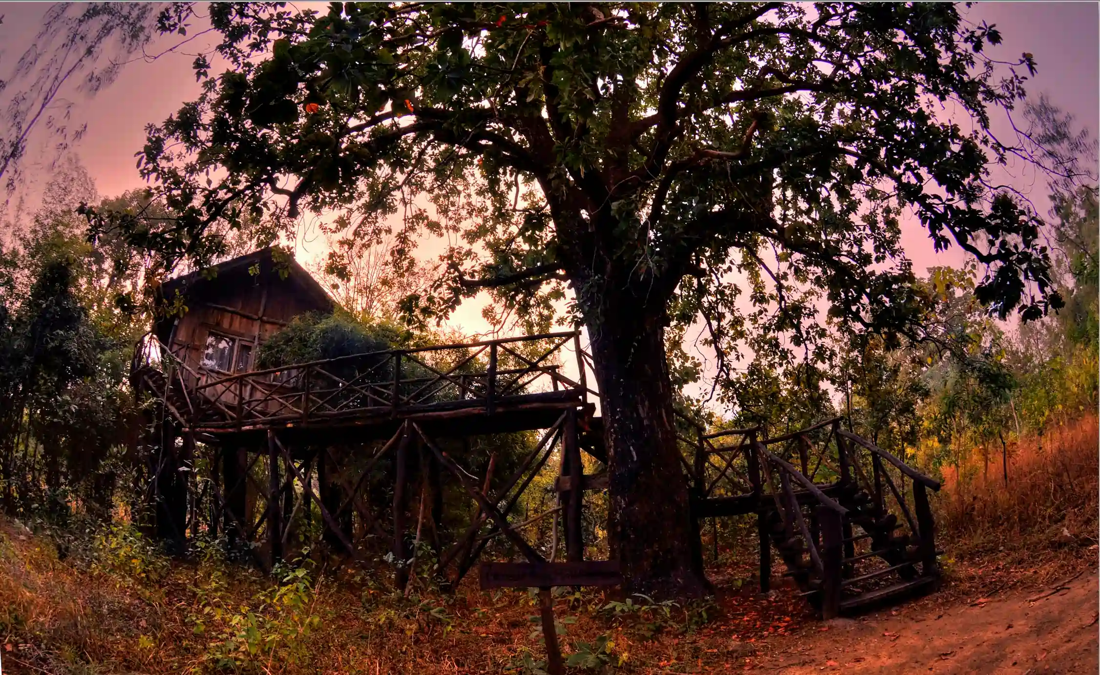 Luxury Tree House Hideaway resort in Bandhavgarh, surrounded by lush natural landscape. 