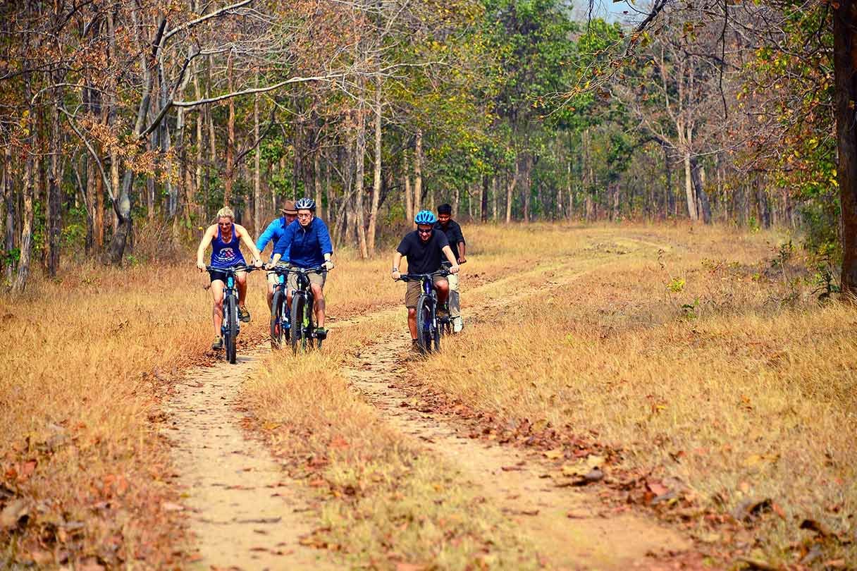 Mystical Nature Trails And Serene Cycling Trails