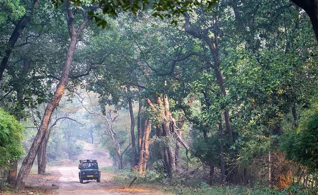 bandhavgarh-national-park