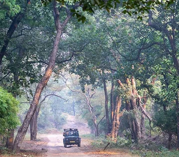 bandhavgarh-national-park