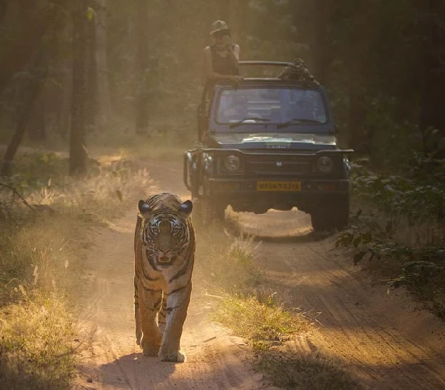 panna-national-park