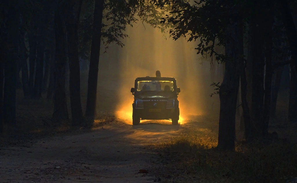 pench-national-park