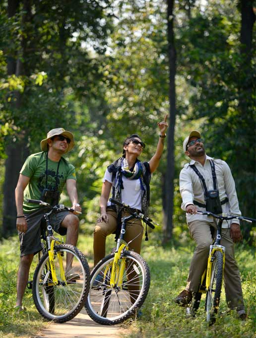 Cycling Safari & Camping